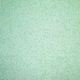 BLV Etch Permanent