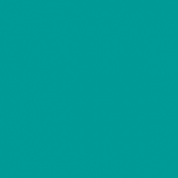 BLV Matte Removable Adhesive Vinyl