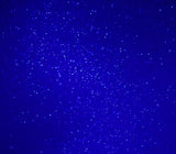 BLV Transparent Glitter Permanent Adhesive Vinyl