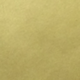 BLV Permanent Adhesive/Sign Vinyl