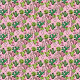 Pattern Cactus Succulents Desert in Adhesive and/or Heat Transfer Vinyl