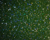 BLV Ultra Holographic Glitter Adhesive Permanent