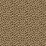 Pattern Animal Prints #2 in Adhesive and/or Heat Transfer Vinyl