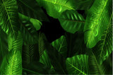 Pattern Abstracts-GREENS in Adhesive and/or Heat Transfer Vinyl