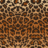 Pattern Animal Prints #2 in Adhesive and/or Heat Transfer Vinyl