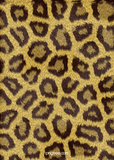 Pattern Animal Prints #1 in Adhesive and/or Heat Transfer Vinyl