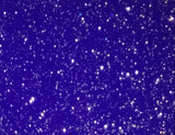 BLV Ultra Holographic Glitter Adhesive Permanent