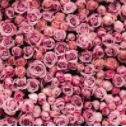 Pattern Flowers in Adhesive and/or Heat Transfer Vinyl