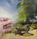 BLV Transfer Tape / Application Tape